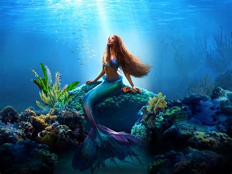 Ariel The Little Mermaids New Videos